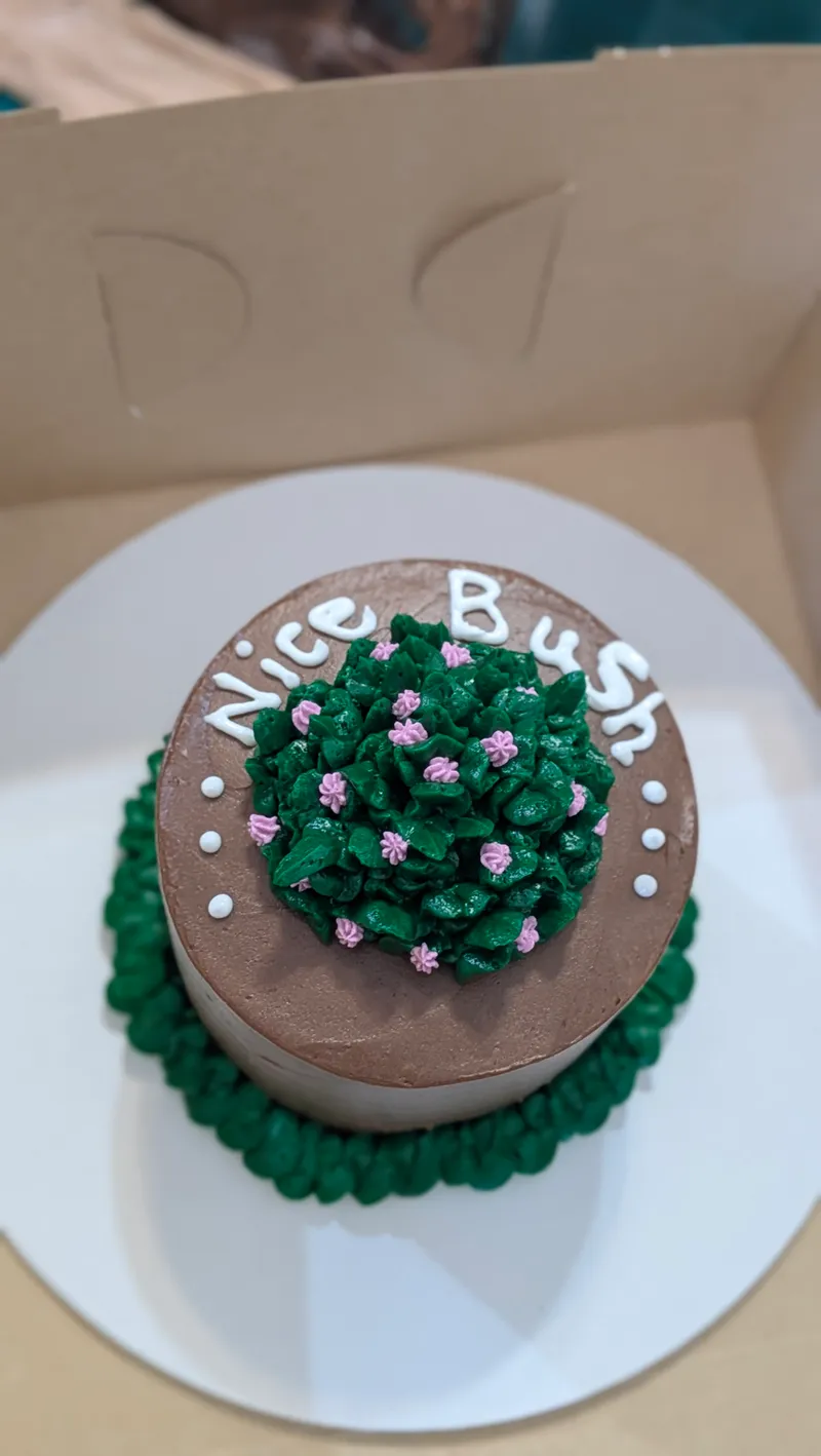 Chocolate cake topped with a green piped bush and the words Nice Bush