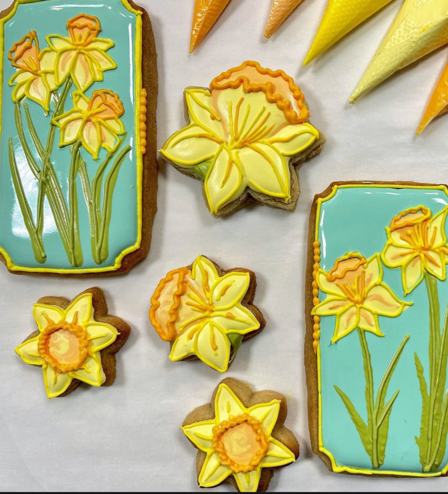 Rectangular cookies painted with daffodils alongside daffodil-shaped cookies